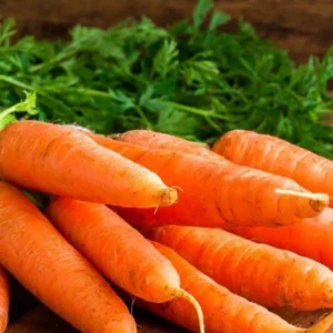 Carottes bottes