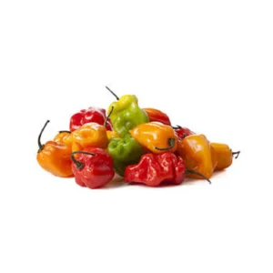 Pili-pili