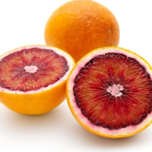 Orange Sanguine
