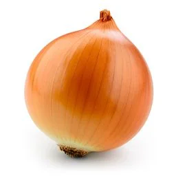 Oignons gros